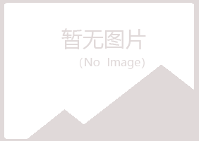 阳山县雪青建筑有限公司